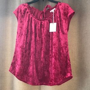 NWT. LAUREN CONRAD CRUSH VELVET TOP